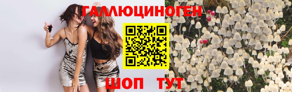 Псилоцибиновые грибы Magic Shrooms  Вход с VPN  Галлюциногенные грибы Psilocybe  Острогожск 